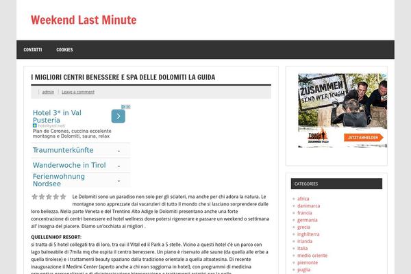 Dynamic News Lite theme site design template sample