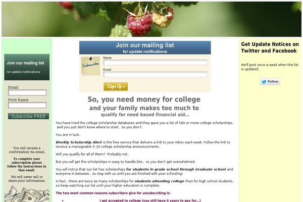 Atahualpa theme site design template sample