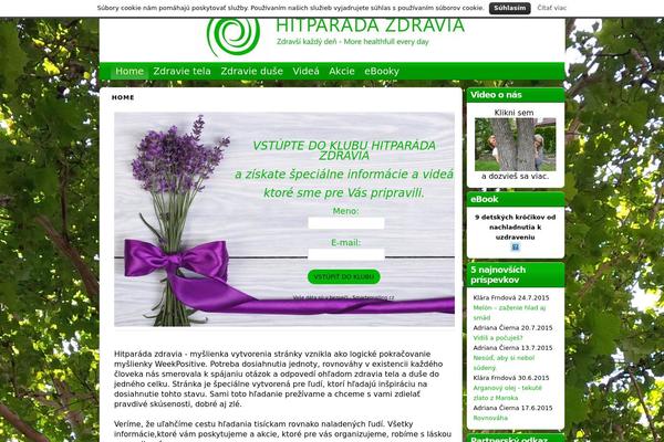 MioWeb theme site design template sample