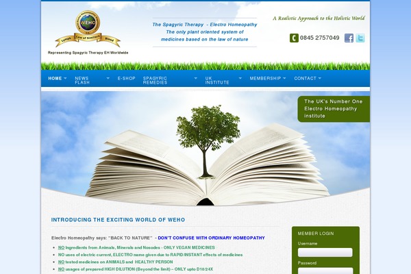 Wellness theme site design template sample