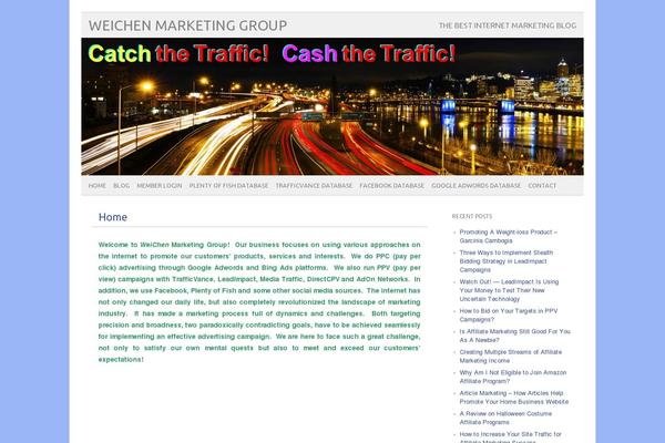 picolight theme site design template sample