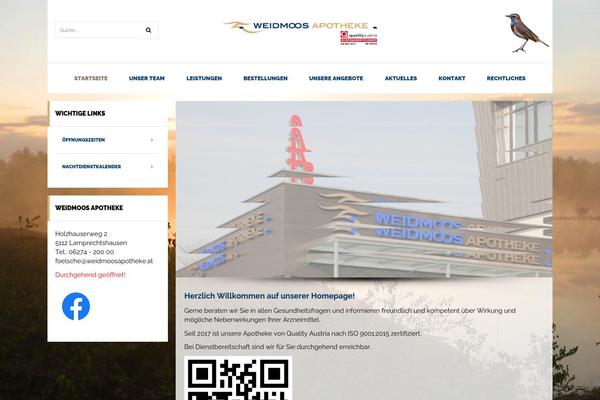 Pharmacy theme site design template sample