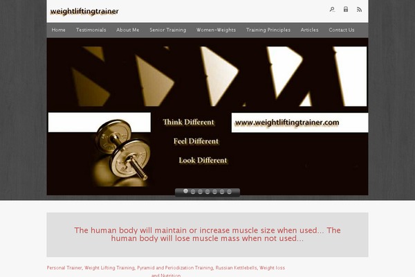 WSI genesis theme site design template sample