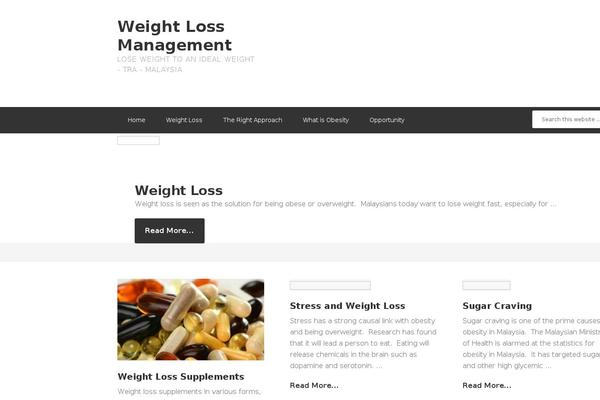 Enterprise Pro theme site design template sample