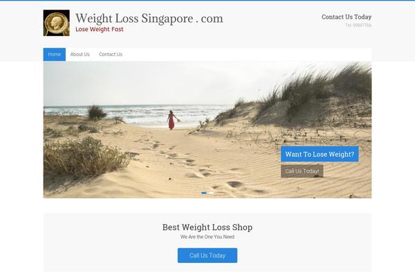 Accelerate Pro theme site design template sample