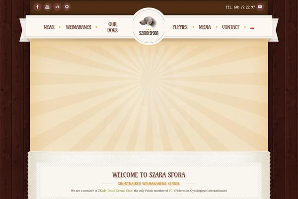 Retro theme site design template sample