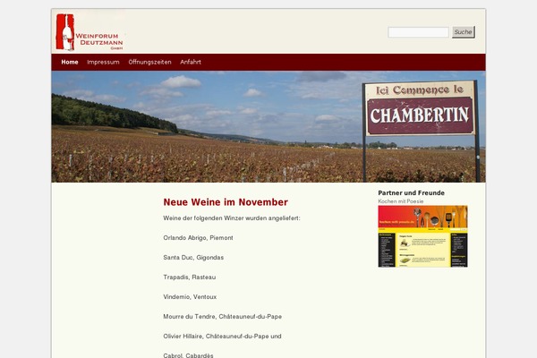 Thirty Ten theme site design template sample