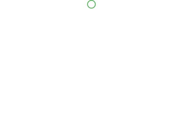 Site using Radiantthemes-mega-menu plugin