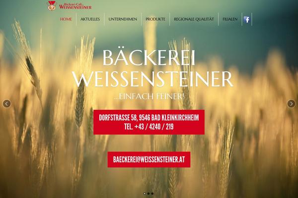 Feather13 theme site design template sample