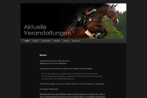 Twenty Eleven theme site design template sample