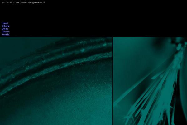 Site using Happy-elementor-addons plugin