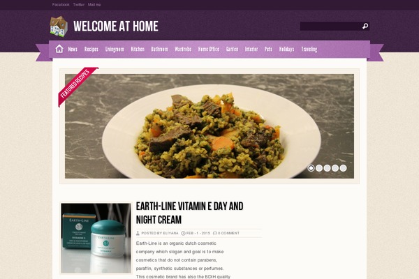 Zylyz theme site design template sample