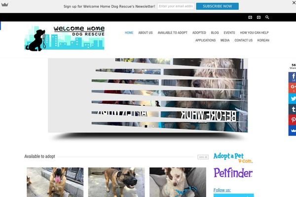 Charitas theme site design template sample