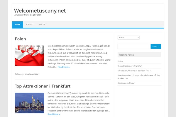 Iconic One theme site design template sample