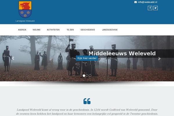 Enigma Premium theme site design template sample