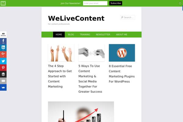 Catch Everest theme site design template sample