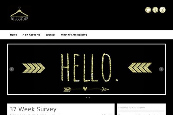 Coller-pro theme site design template sample