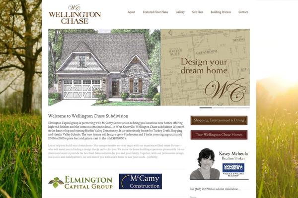 Goodspace theme site design template sample