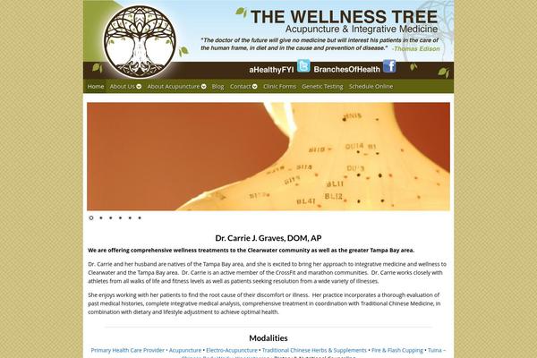 wellnessbycarrie.com site used Acuperfectwebsitesv2
