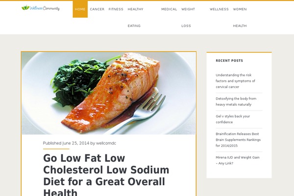 Ignite theme site design template sample