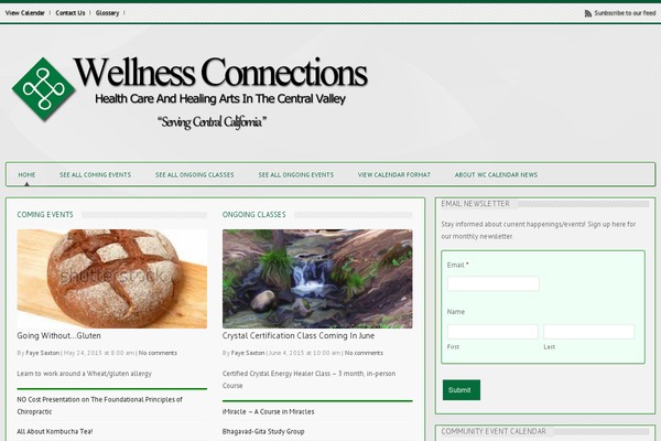 Widezine theme site design template sample