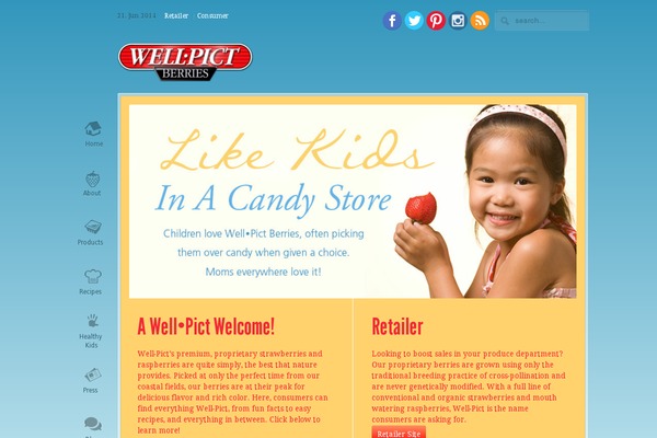 Highend Child theme site design template sample