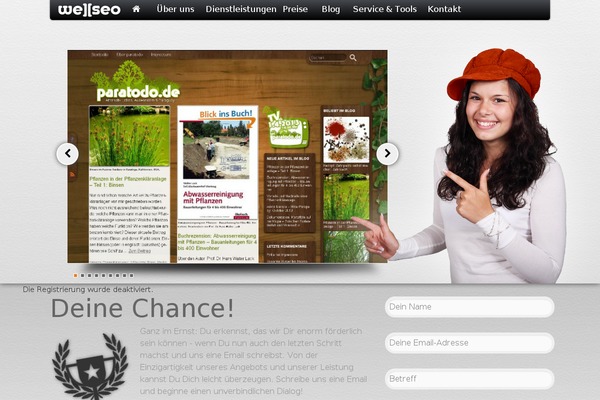 wellseo.de site used Enfold