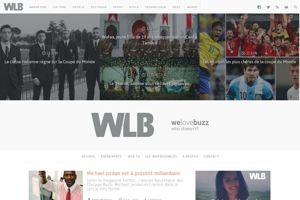 wlb WordPress theme, websites list used wlb theme wlb theme websites examples