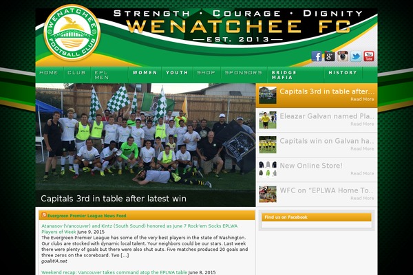 Football Club theme site design template sample