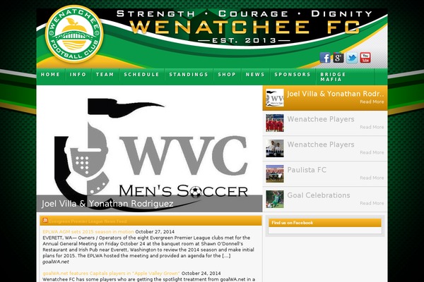 Football Club theme site design template sample