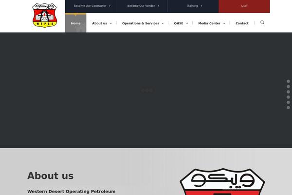 Site using Real-time-validation-for-gravity-forms plugin