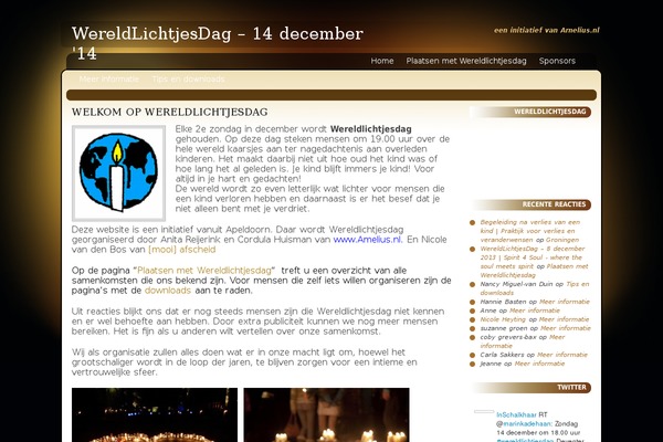 Site using Any User Twitter Feed plugin