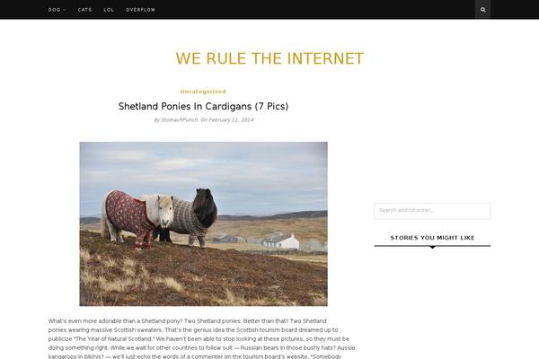 Site using WP Socializer plugin