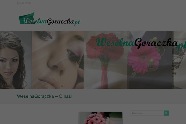 RestImpo theme site design template sample