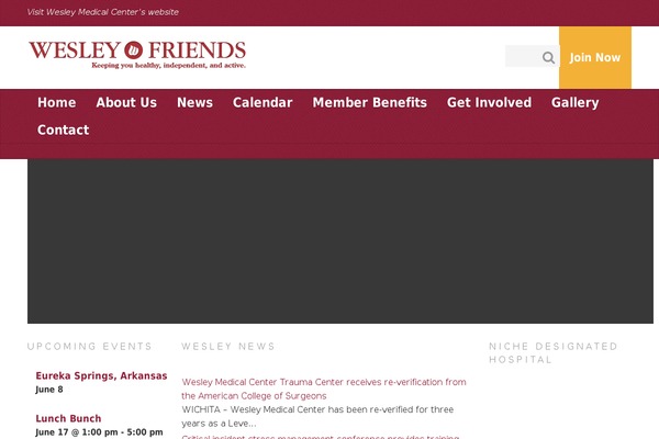 Give theme site design template sample
