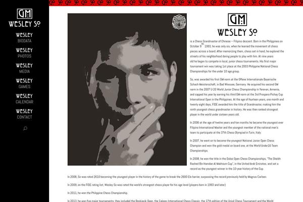 Site using Video Gallery plugin