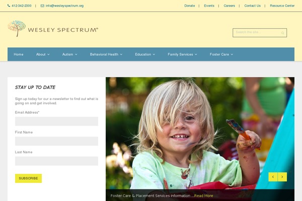 Site using Custom CSS plugin