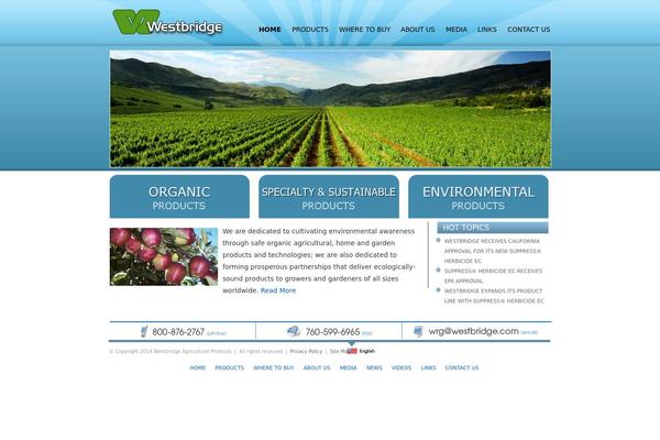 Site using Widgets on Pages plugin