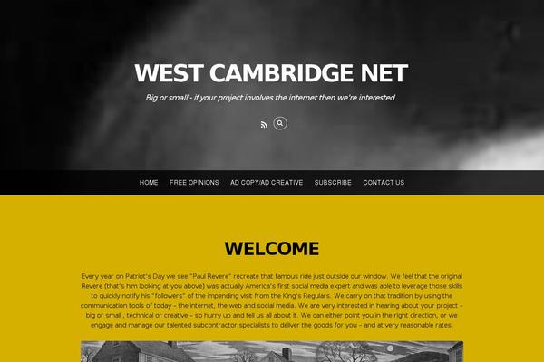 Parallax theme site design template sample