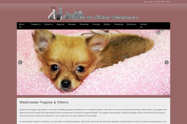 westchester WordPress theme, websites list used westchester theme westchester theme websites examples