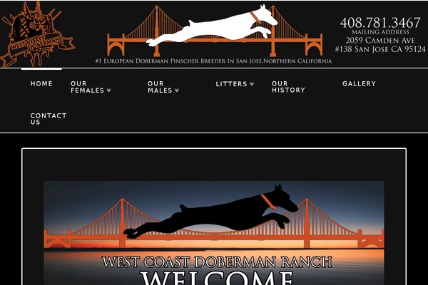Site using Akismet plugin