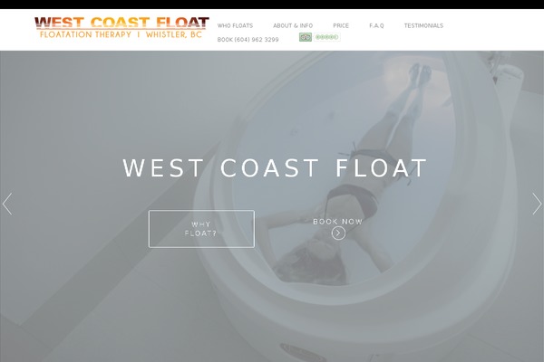 Visia theme site design template sample