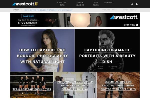 Site using Taxonomies-filter-widget plugin