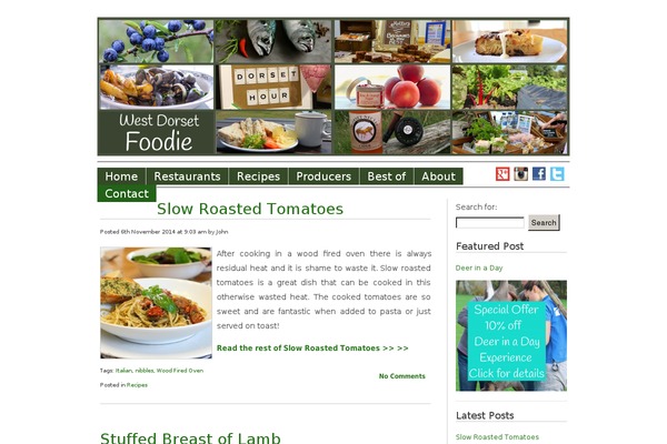 Foodie theme site design template sample