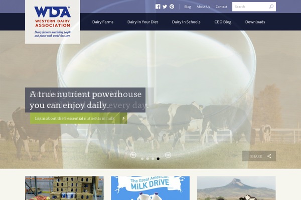 Sharp theme site design template sample
