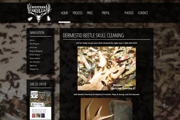 Fiatlux theme site design template sample