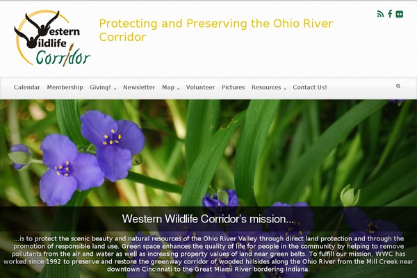 evolve theme site design template sample