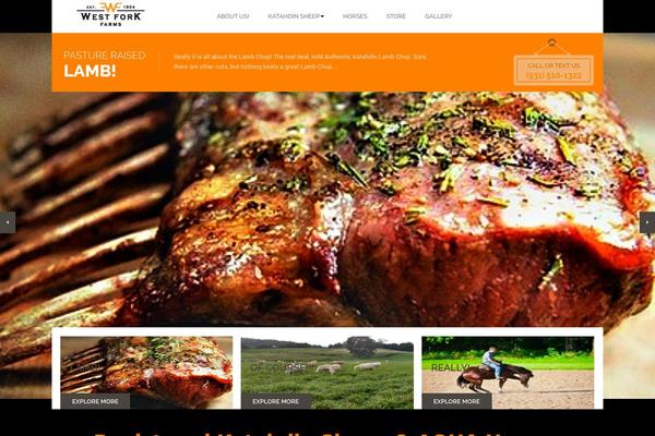 Site using Wpc-product-faqs plugin