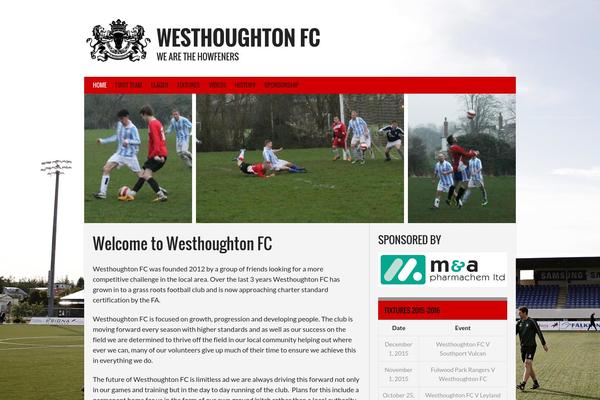 Rookie theme site design template sample