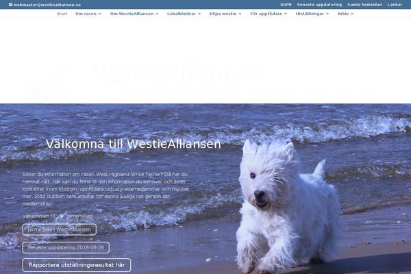 Divi-3 theme site design template sample
